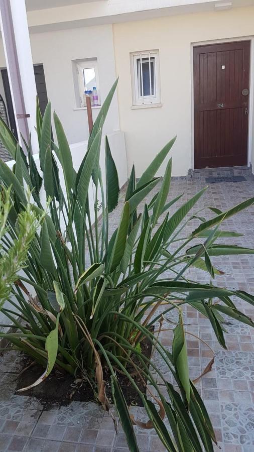 Panorama Beach House, 5 Meters To The Sea بيرفوليا المظهر الخارجي الصورة